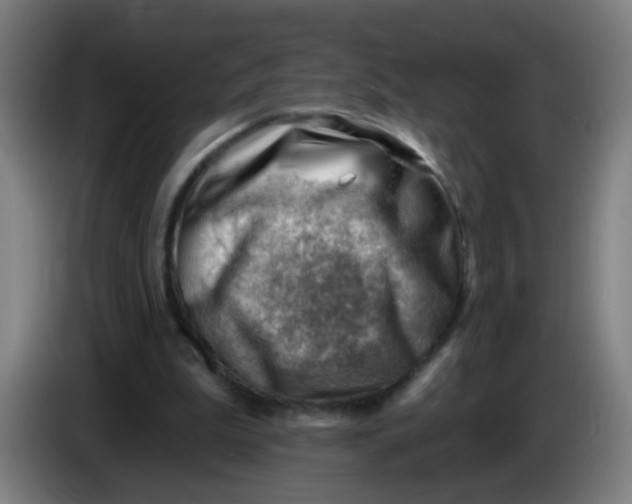 X0000085240199200703301755