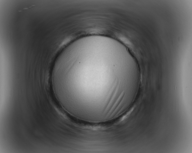 X0000085240201200703301755