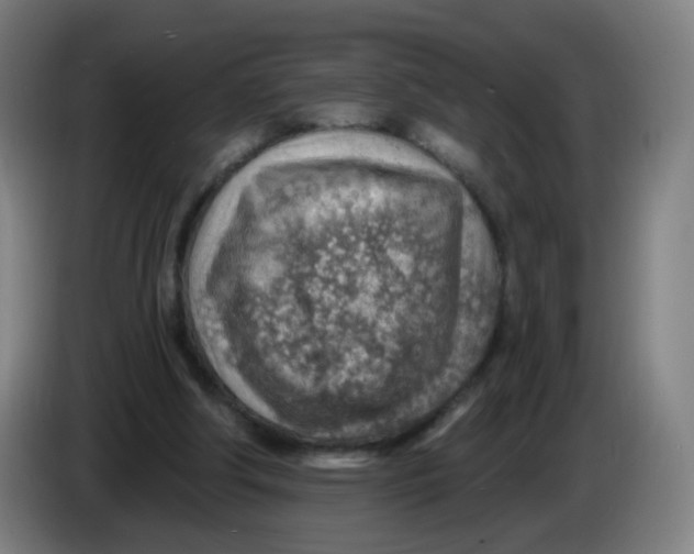 X0000085240202200703301755