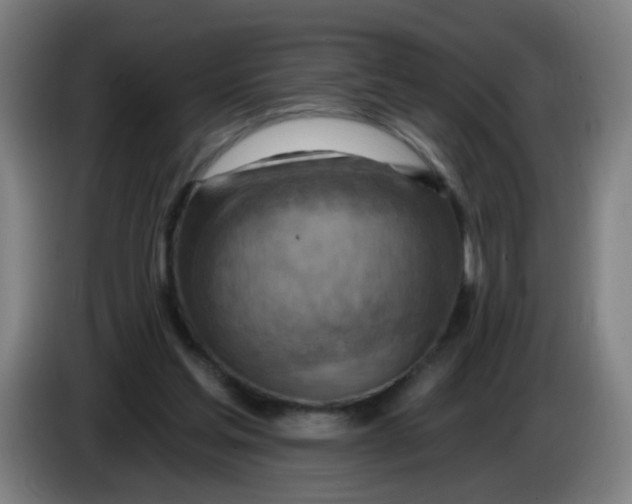 X0000085240205200703301755