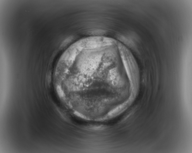 X0000085240206200703301755