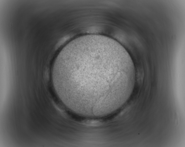 X0000085240208200703301755