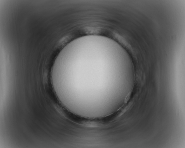 X0000085240209200703301755