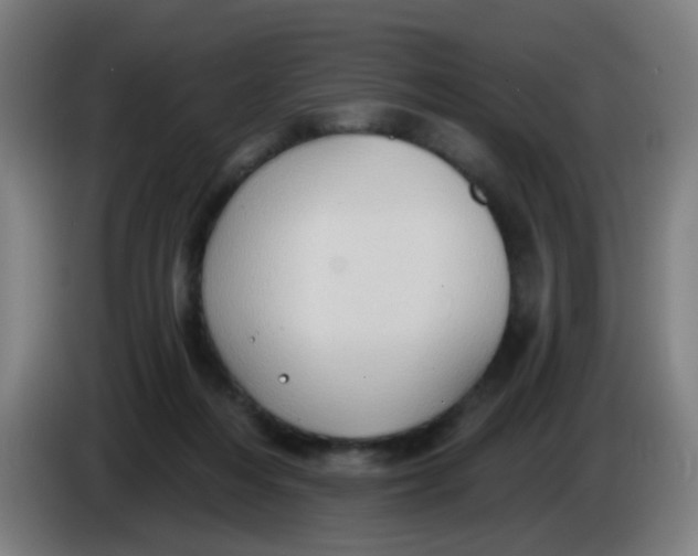 X0000085240216200703301754