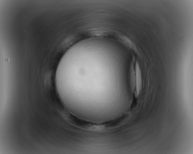 X0000085240217200703301754