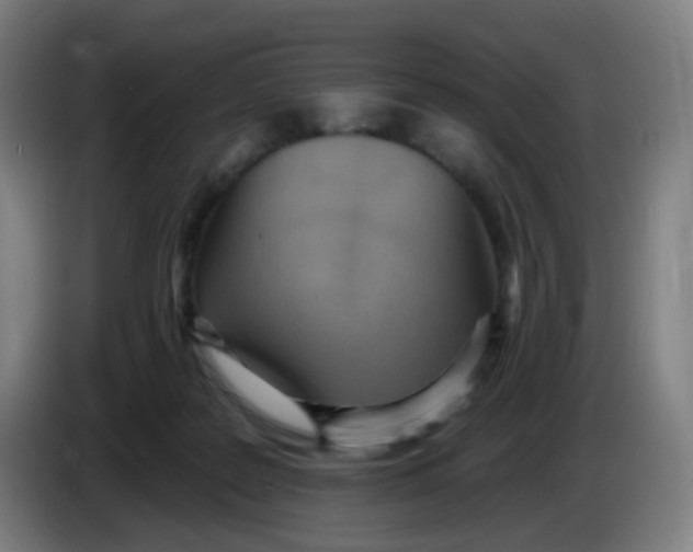 X0000085240219200703301754