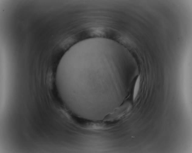 X0000085240223200703301754