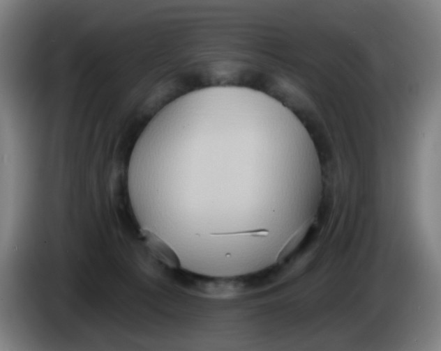 X0000085240225200703301754
