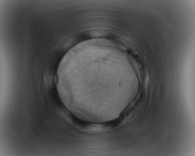X0000085240227200703301754