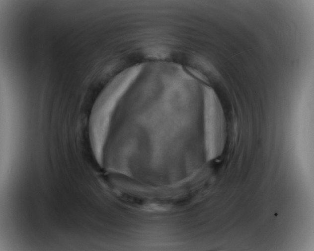 X0000085240229200703301754