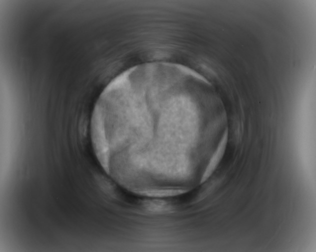 X0000085240230200703301754