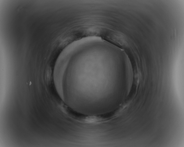 X0000085240231200703301754