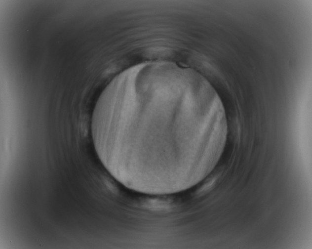 X0000085240232200703301754