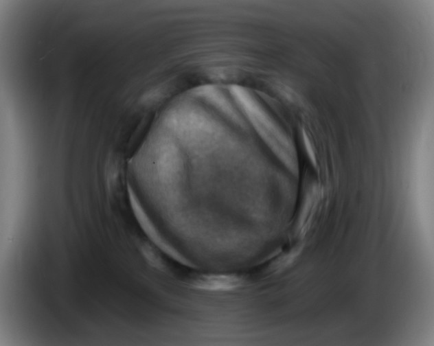 X0000085240233200703301754