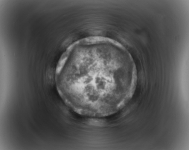 X0000085240234200703301754