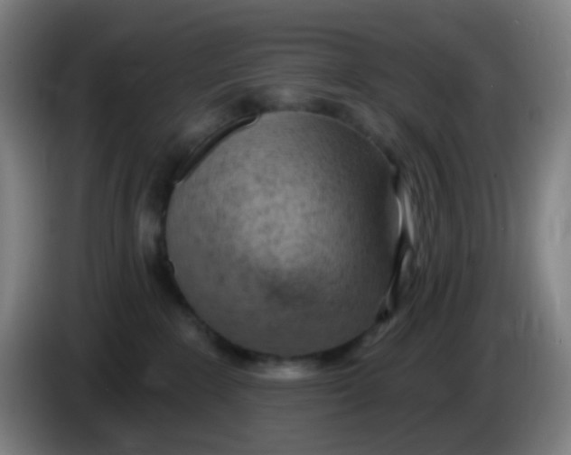 X0000085240235200703301754