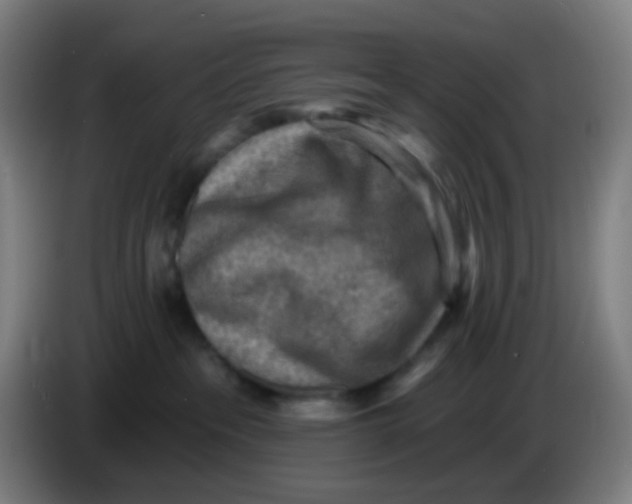 X0000085240237200703301754