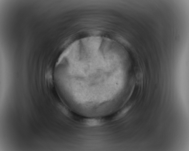 X0000085240238200703301754