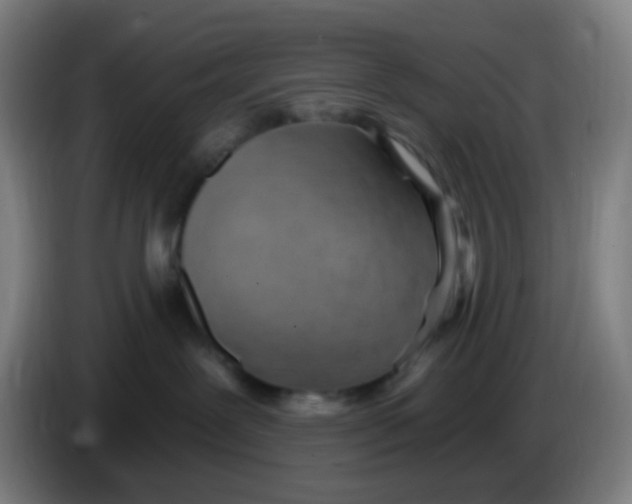 X0000085240239200703301754