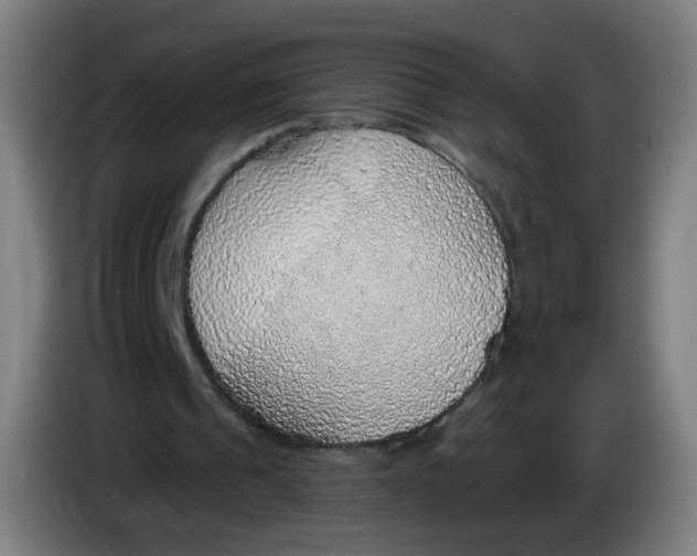 X0000085240241200703301753