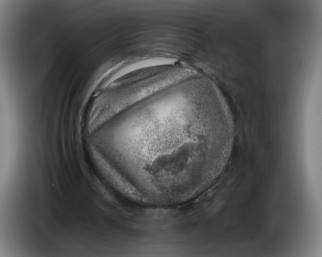 X0000085240242200703301753