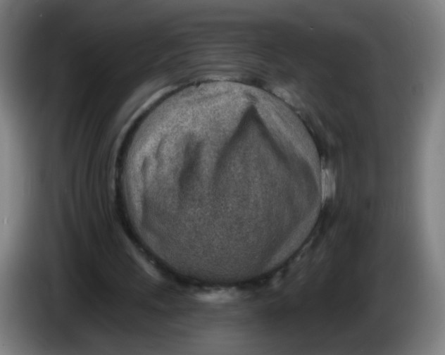 X0000085240243200703301753
