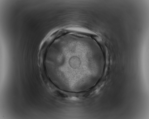 X0000085240244200703301754