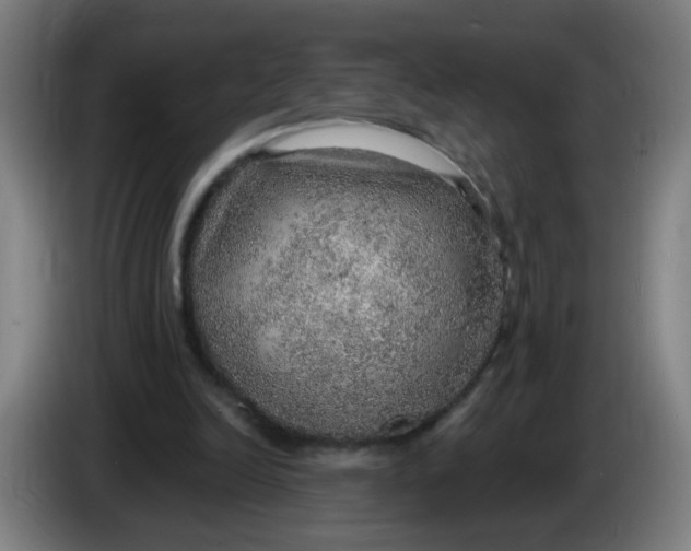 X0000085240246200703301754