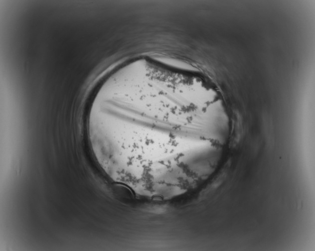 X0000085240247200703301754