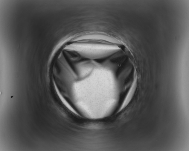 X0000085240248200703301754