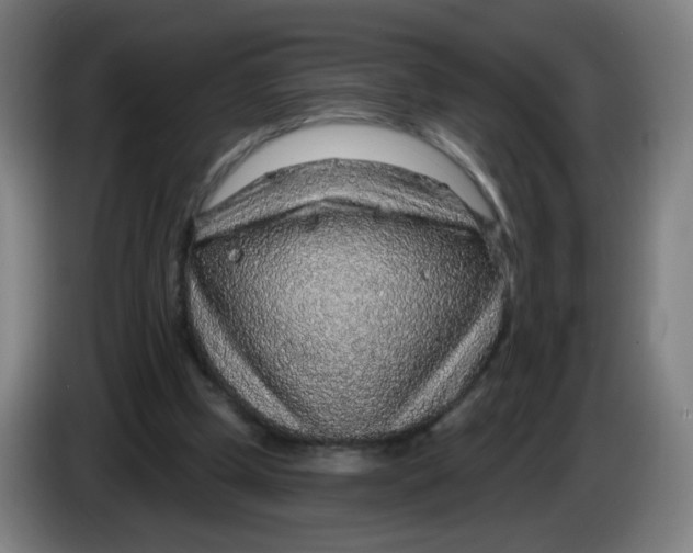 X0000085240249200703301754