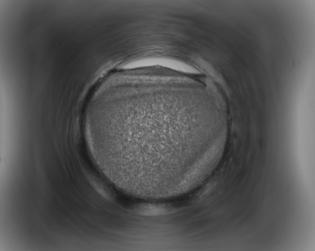X0000085240250200703301754