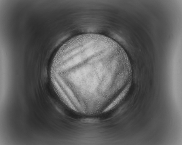 X0000085240251200703301754