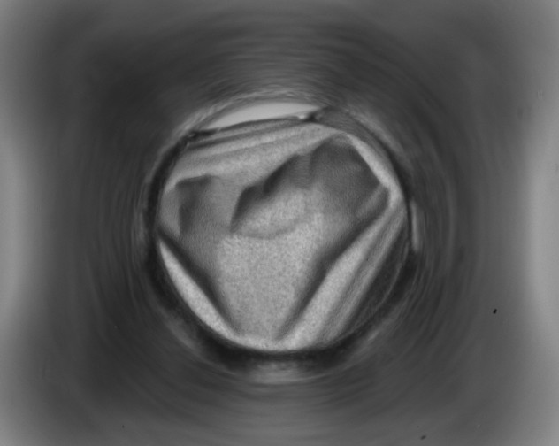 X0000085240252200703301754