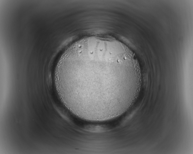 X0000085240254200703301754