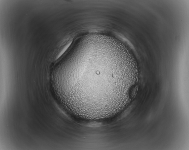 X0000085240257200703301754