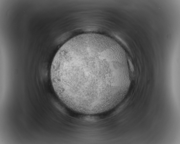 X0000085240261200703301754