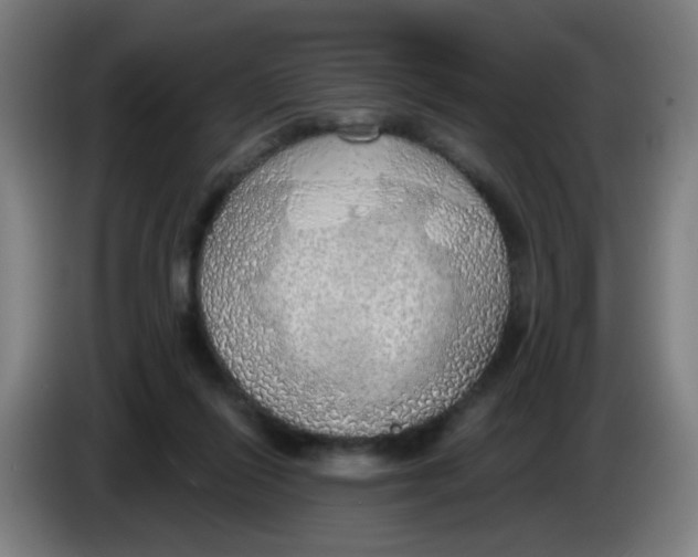 X0000085240262200703301754