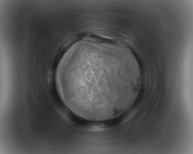 X0000085240263200703301754