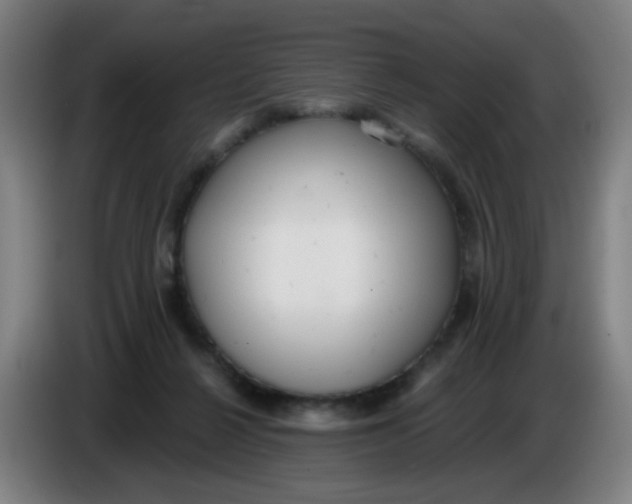 X0000085240264200703301754