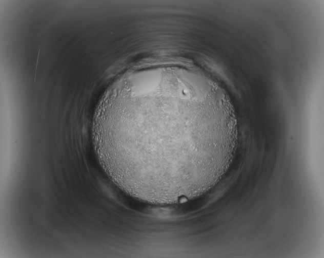 X0000085240265200703301754