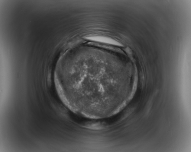 X0000085240267200703301754