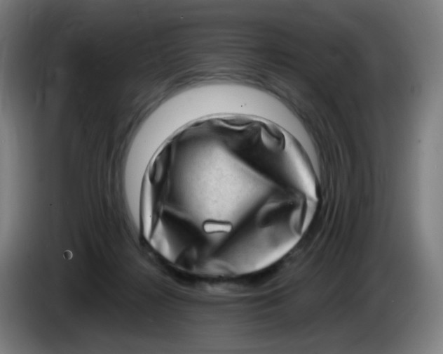 X0000085240268200703301754