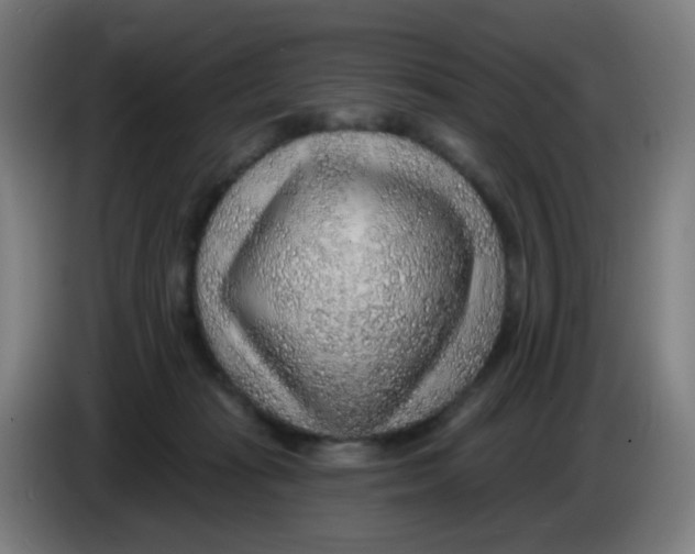 X0000085240269200703301754