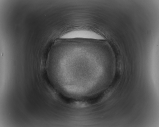 X0000085240272200703301754