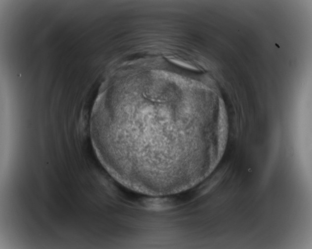 X0000085240273200703301754