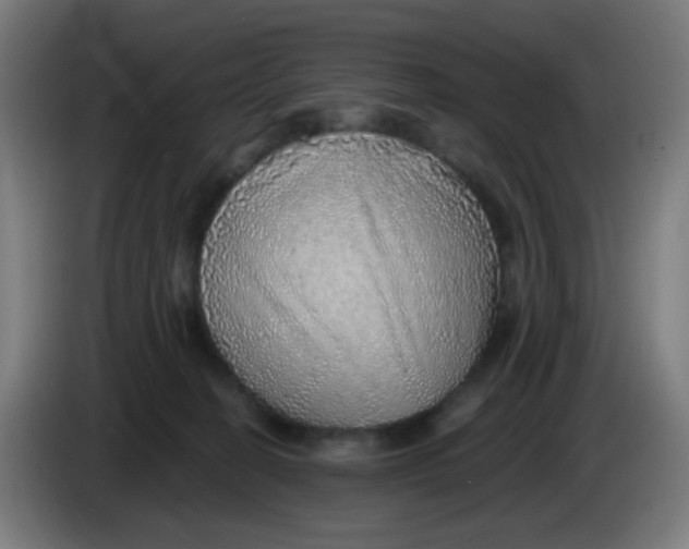 X0000085240274200703301754