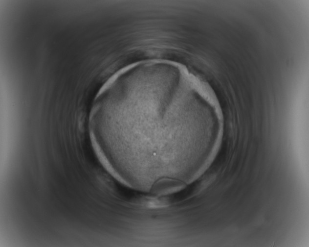 X0000085240275200703301754