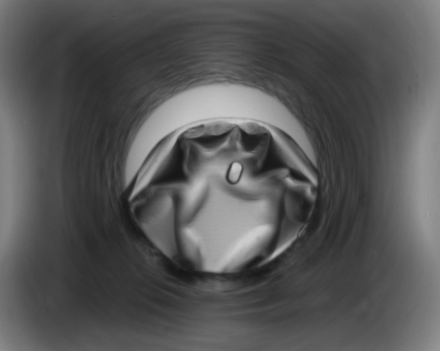 X0000085240276200703301754