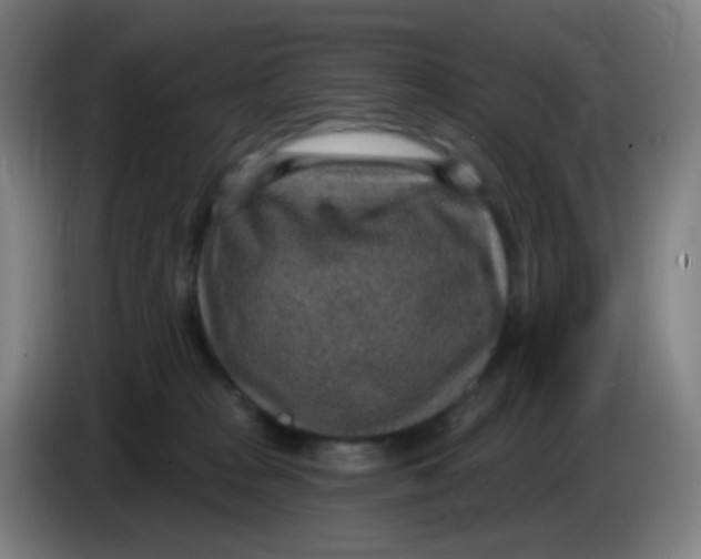 X0000085240277200703301754